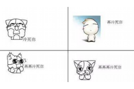 兴县融资清欠服务